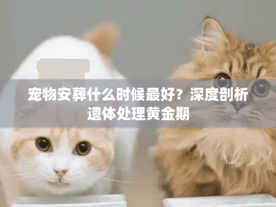 宠物安葬什么时候最好？深度剖析遗体处理黄金期