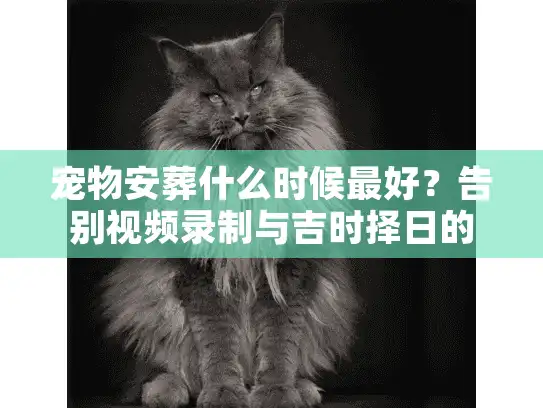宠物安葬什么时候最好？告别视频录制与吉时择日的关键