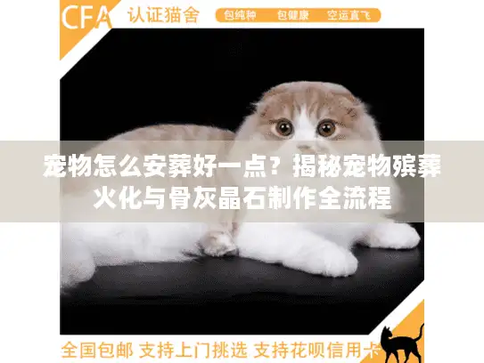 宠物怎么安葬好一点？揭秘宠物殡葬火化与骨灰晶石制作全流程