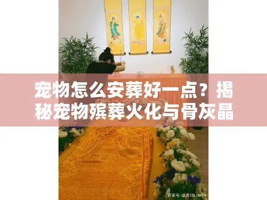 宠物怎么安葬好一点？揭秘宠物殡葬火化与骨灰晶石制作全流程