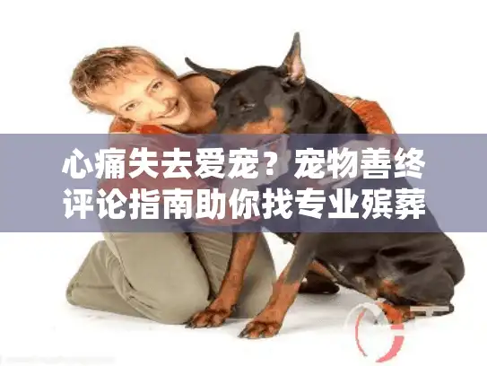 心痛失去爱宠？宠物善终评论指南助你找专业殡葬服务