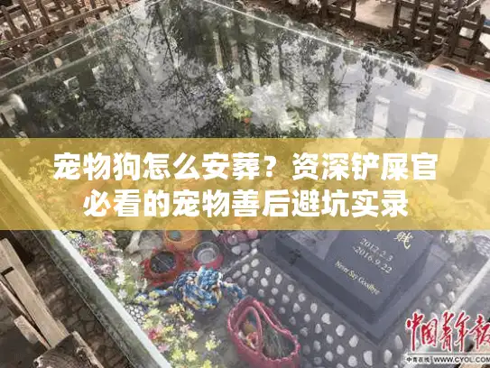 宠物狗怎么安葬？资深铲屎官必看的宠物善后避坑实录