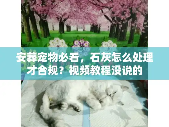 安葬宠物必看，石灰怎么处理才合规？视频教程没说的