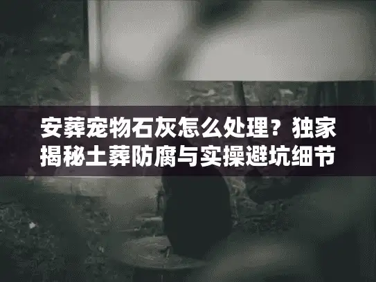 安葬宠物石灰怎么处理？独家揭秘土葬防腐与实操避坑细节