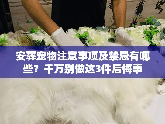 安葬宠物注意事项及禁忌有哪些？千万别做这3件后悔事