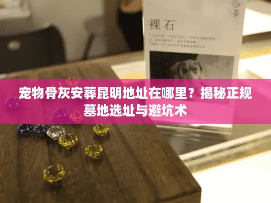 宠物骨灰安葬昆明地址在哪里？揭秘正规墓地选址与避坑术