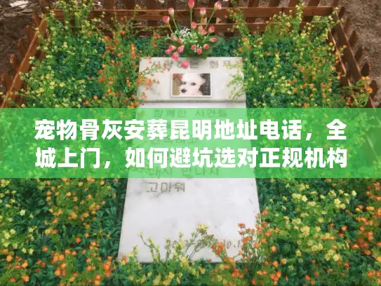 宠物骨灰安葬昆明地址电话，全城上门，如何避坑选对正规机构