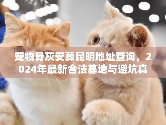 宠物骨灰安葬昆明地址查询，2024年最新合法墓地与避坑真相