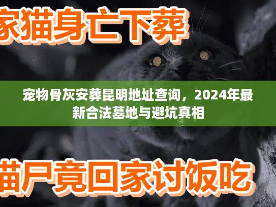 宠物骨灰安葬昆明地址查询，2024年最新合法墓地与避坑真相