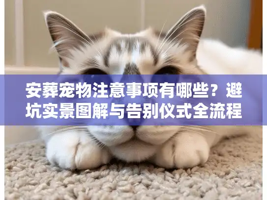 安葬宠物注意事项有哪些？避坑实景图解与告别仪式全流程
