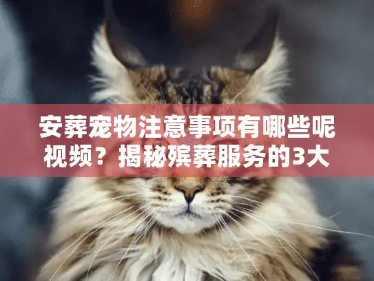 安葬宠物注意事项有哪些呢视频？揭秘殡葬服务的3大隐形坑