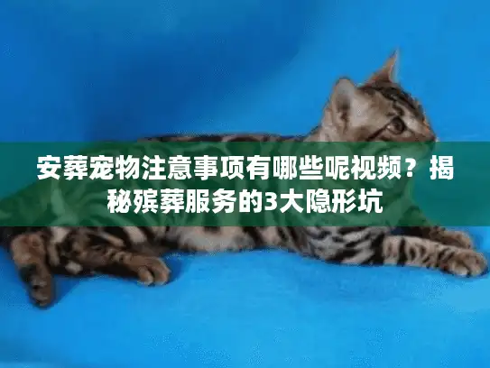 安葬宠物注意事项有哪些呢视频？揭秘殡葬服务的3大隐形坑