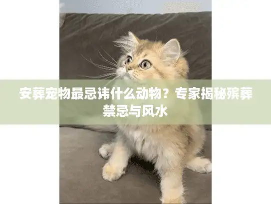 安葬宠物最忌讳什么动物？专家揭秘殡葬禁忌与风水