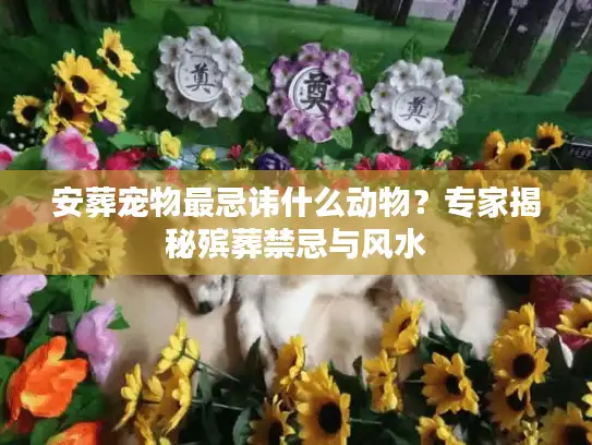 安葬宠物最忌讳什么动物？专家揭秘殡葬禁忌与风水