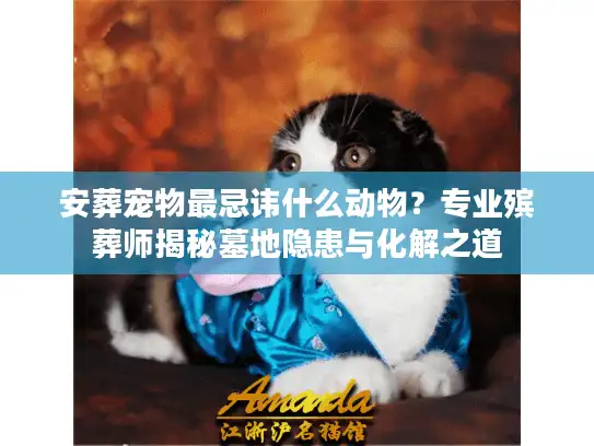安葬宠物最忌讳什么动物？专业殡葬师揭秘墓地隐患与化解之道