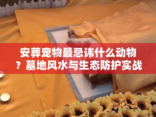 安葬宠物最忌讳什么动物？墓地风水与生态防护实战