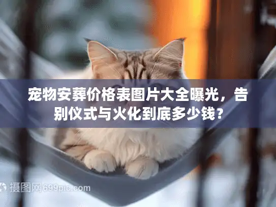 宠物安葬价格表图片大全曝光，告别仪式与火化到底多少钱？