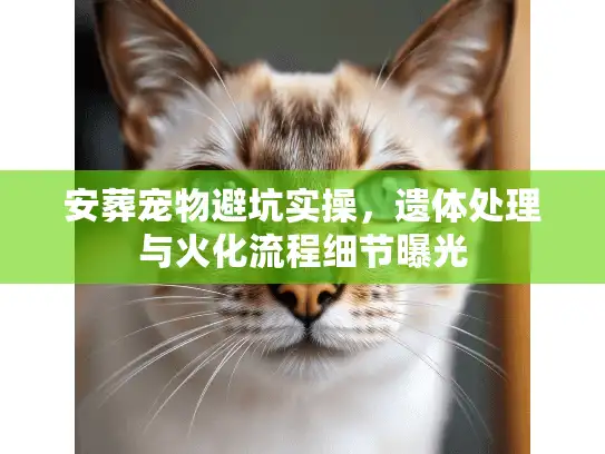 安葬宠物避坑实操，遗体处理与火化流程细节曝光