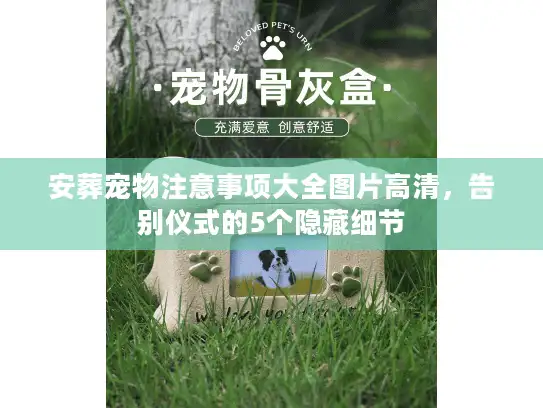 安葬宠物注意事项大全图片高清，告别仪式的5个隐藏细节