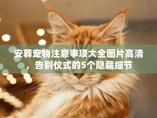 安葬宠物注意事项大全图片高清，告别仪式的5个隐藏细节