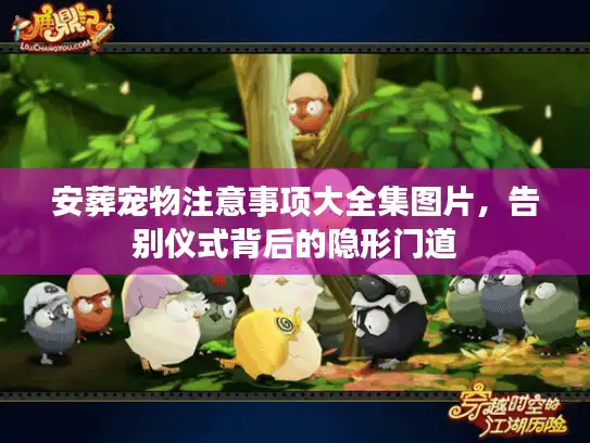 安葬宠物注意事项大全集图片，告别仪式背后的隐形门道