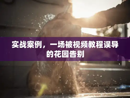 实战案例，一场被视频教程误导的花园告别