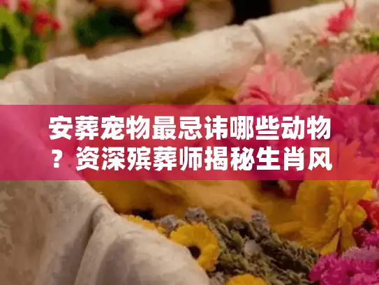 安葬宠物最忌讳哪些动物？资深殡葬师揭秘生肖风水禁忌