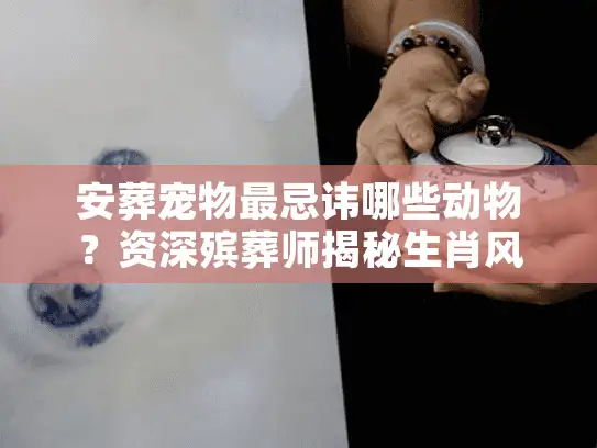 安葬宠物最忌讳哪些动物？资深殡葬师揭秘生肖风水禁忌