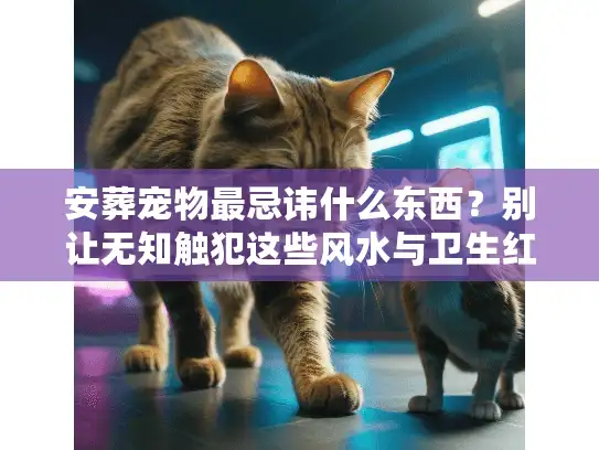 安葬宠物最忌讳什么东西？别让无知触犯这些风水与卫生红线