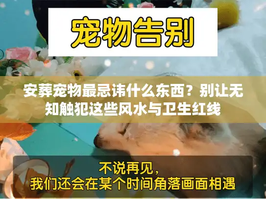 安葬宠物最忌讳什么东西？别让无知触犯这些风水与卫生红线