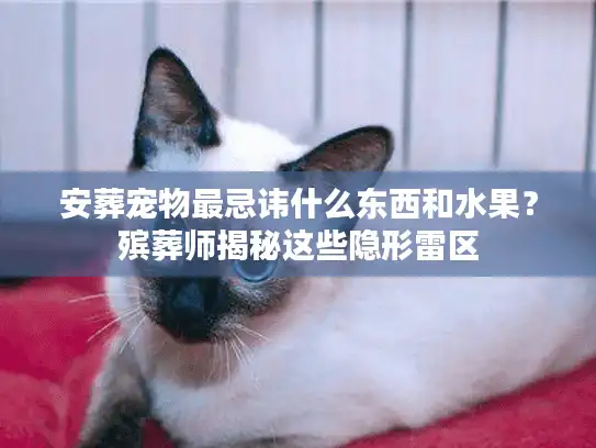 安葬宠物最忌讳什么东西和水果？殡葬师揭秘这些隐形雷区