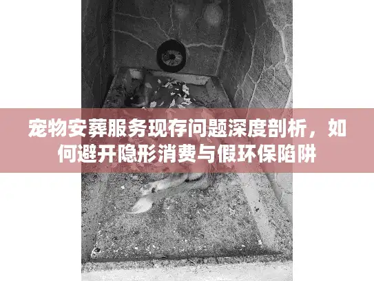 宠物安葬服务现存问题深度剖析，如何避开隐形消费与假环保陷阱