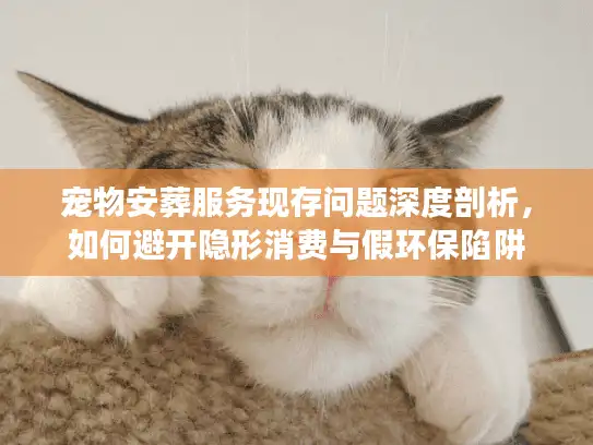 宠物安葬服务现存问题深度剖析，如何避开隐形消费与假环保陷阱