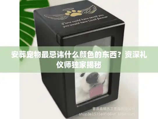 安葬宠物最忌讳什么颜色的东西？资深礼仪师独家揭秘