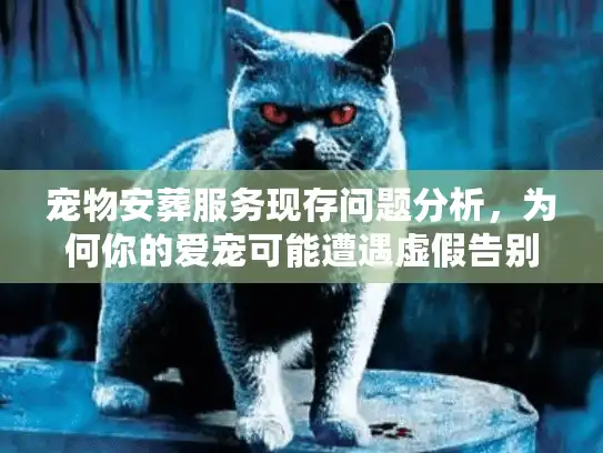 宠物安葬服务现存问题分析，为何你的爱宠可能遭遇虚假告别？