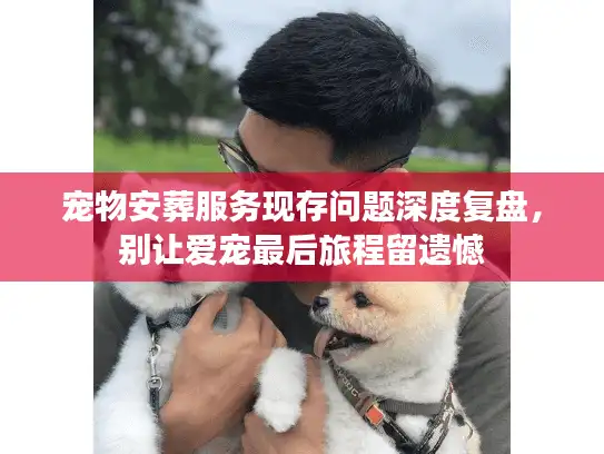宠物安葬服务现存问题深度复盘，别让爱宠最后旅程留遗憾