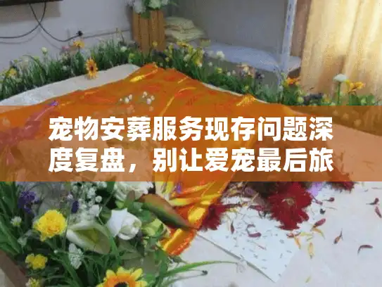 宠物安葬服务现存问题深度复盘，别让爱宠最后旅程留遗憾