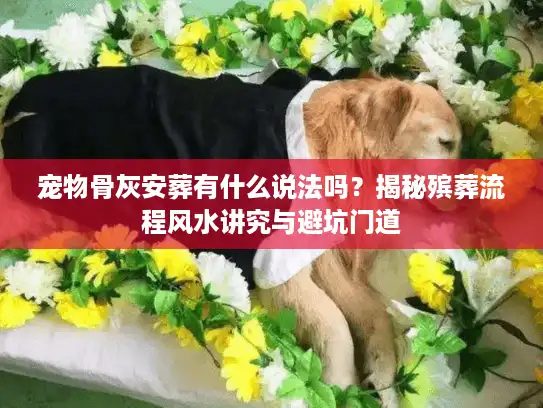 宠物骨灰安葬有什么说法吗？揭秘殡葬流程风水讲究与避坑门道