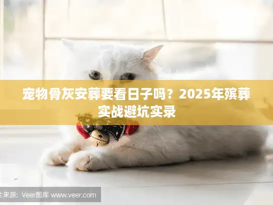 宠物骨灰安葬要看日子吗？2025年殡葬实战避坑实录