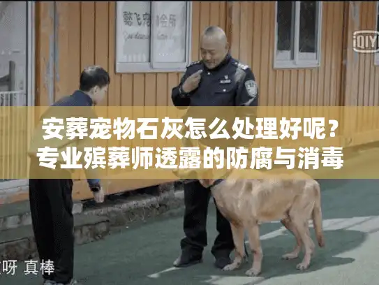 安葬宠物石灰怎么处理好呢？专业殡葬师透露的防腐与消毒绝招