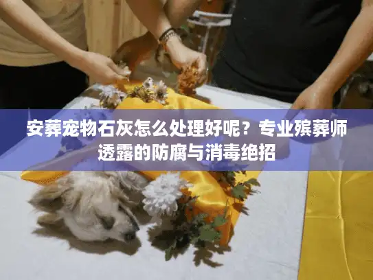 安葬宠物石灰怎么处理好呢？专业殡葬师透露的防腐与消毒绝招