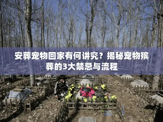 安葬宠物回家有何讲究？揭秘宠物殡葬的3大禁忌与流程