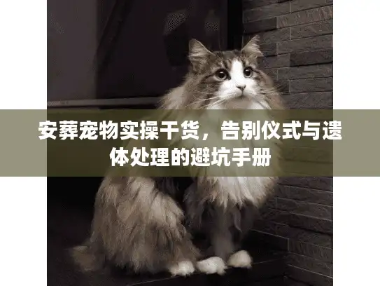 安葬宠物实操干货，告别仪式与遗体处理的避坑手册