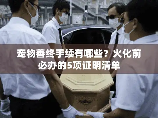 宠物善终手续有哪些？火化前必办的5项证明清单