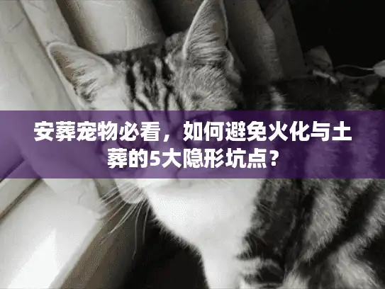 安葬宠物必看，如何避免火化与土葬的5大隐形坑点？