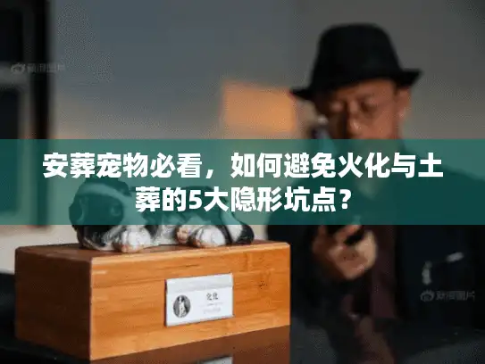 安葬宠物必看，如何避免火化与土葬的5大隐形坑点？