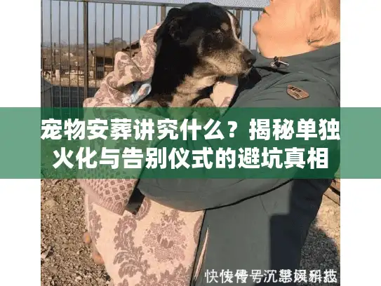宠物安葬讲究什么？揭秘单独火化与告别仪式的避坑真相