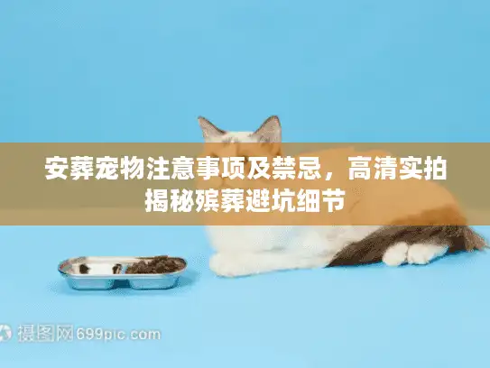 安葬宠物注意事项及禁忌，高清实拍揭秘殡葬避坑细节