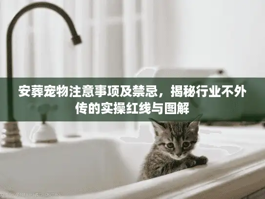 安葬宠物注意事项及禁忌，揭秘行业不外传的实操红线与图解