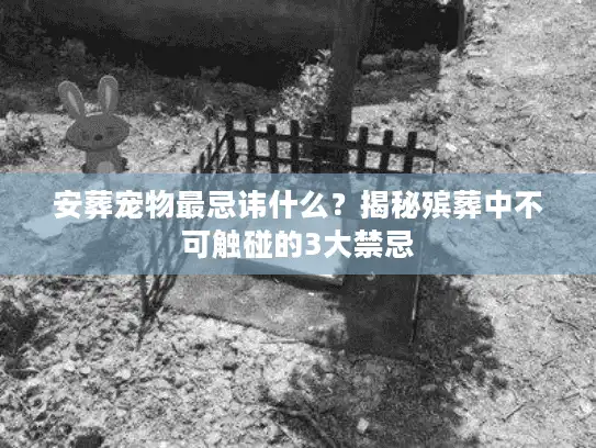 安葬宠物最忌讳什么？揭秘殡葬中不可触碰的3大禁忌